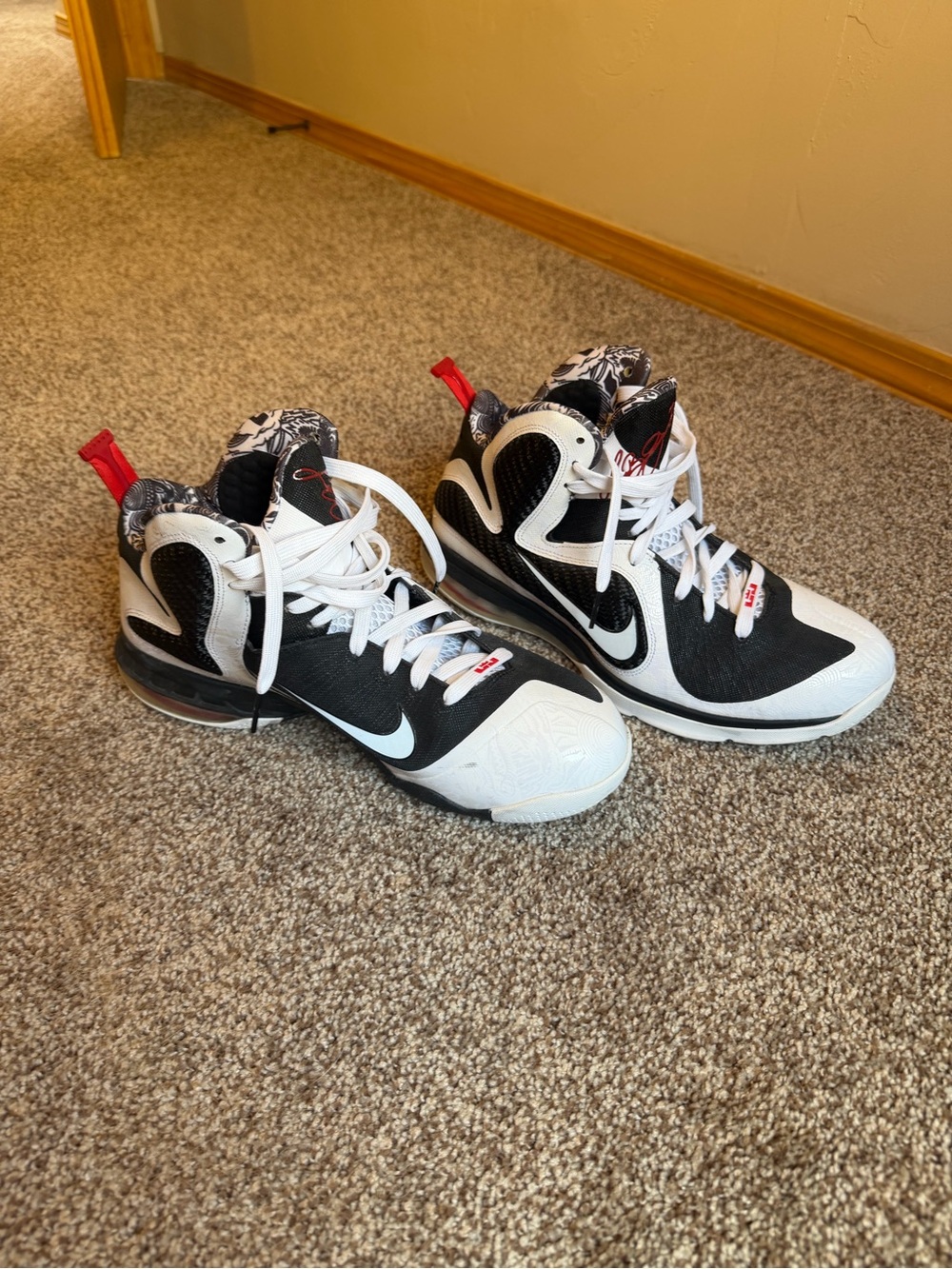 Nike LeBron 9 Freegum basketball shoes
